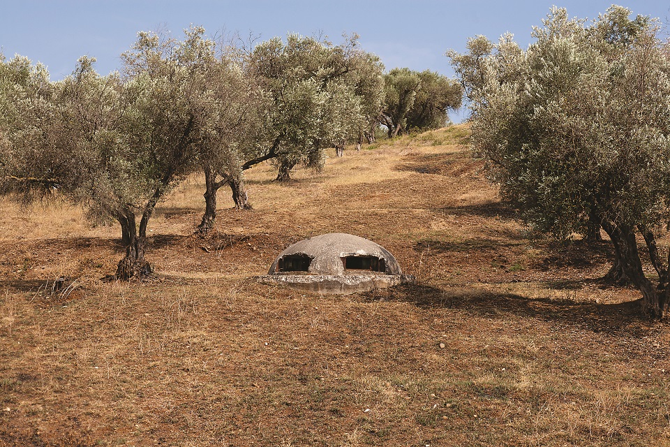 Typowa pocztówka z Albanii: gaj oliwny i bunkier      yszliście na świat gdzie indziej!